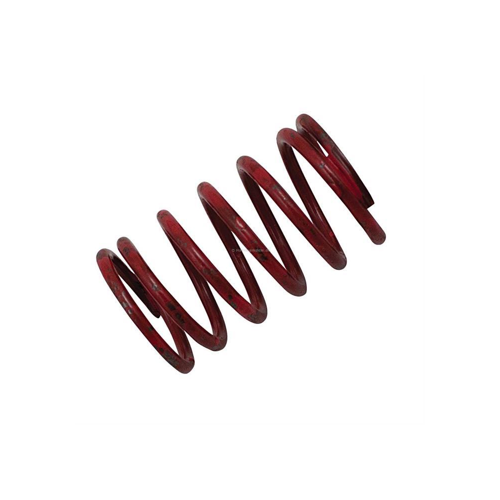 Kawasaki Ventilfjeder